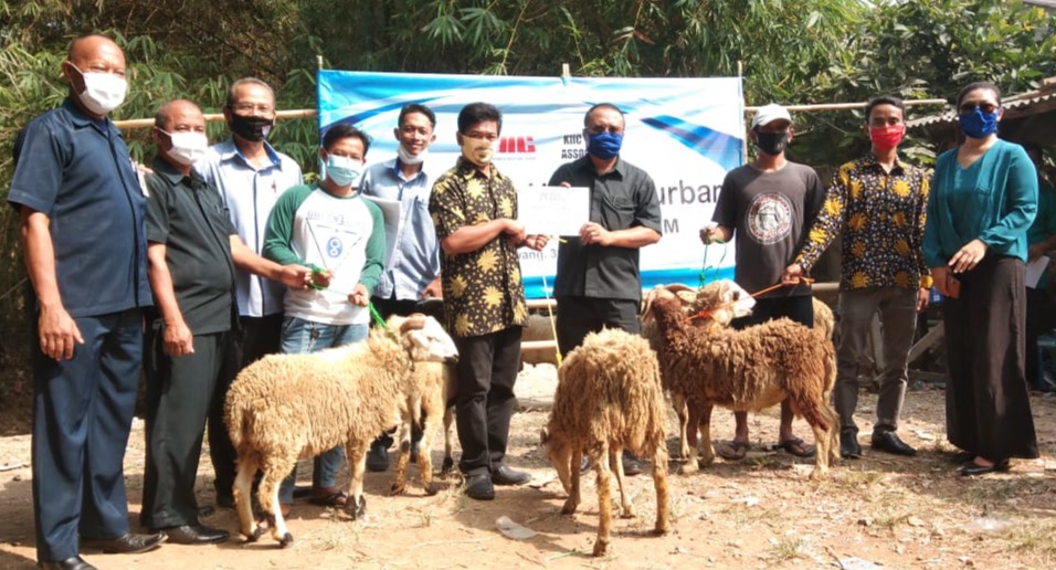 52 Ekor Kambing dan 3 Ekor Sapi, KIIC Tenant Association Salurkan Hewan